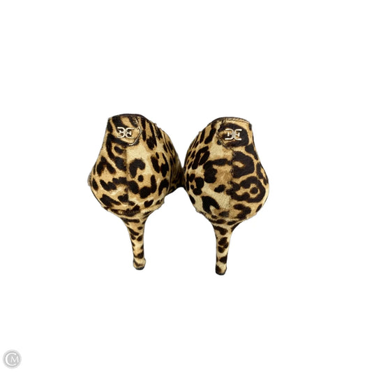 Shoes Heels Stiletto By Sam Edelman In Animal Print, Size: 6