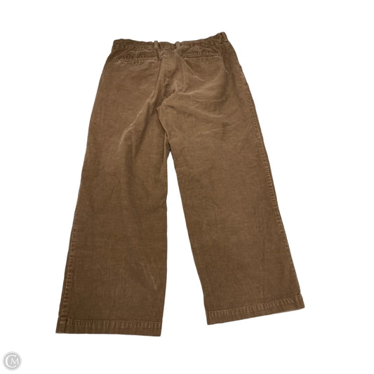 Pants Corduroy By Perry Ellis In Brown, Size: 16