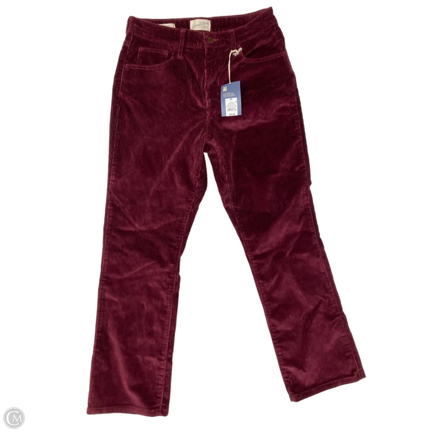 Pants Corduroy By Universal Thread In Maroon, Size: 8