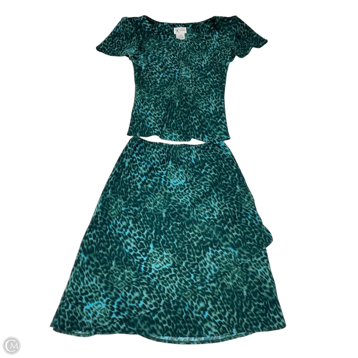 Skirt Set 2pc By Clothes Mentor In Green, Size: 4p