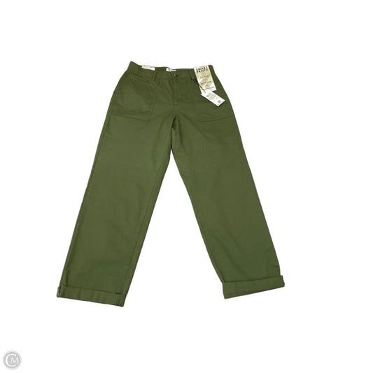Pants Chinos & Khakis By Curve Appeal In Green, Size: 6