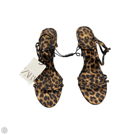 Sandals Heels Stiletto By Zara In Animal Print, Size: 8.5