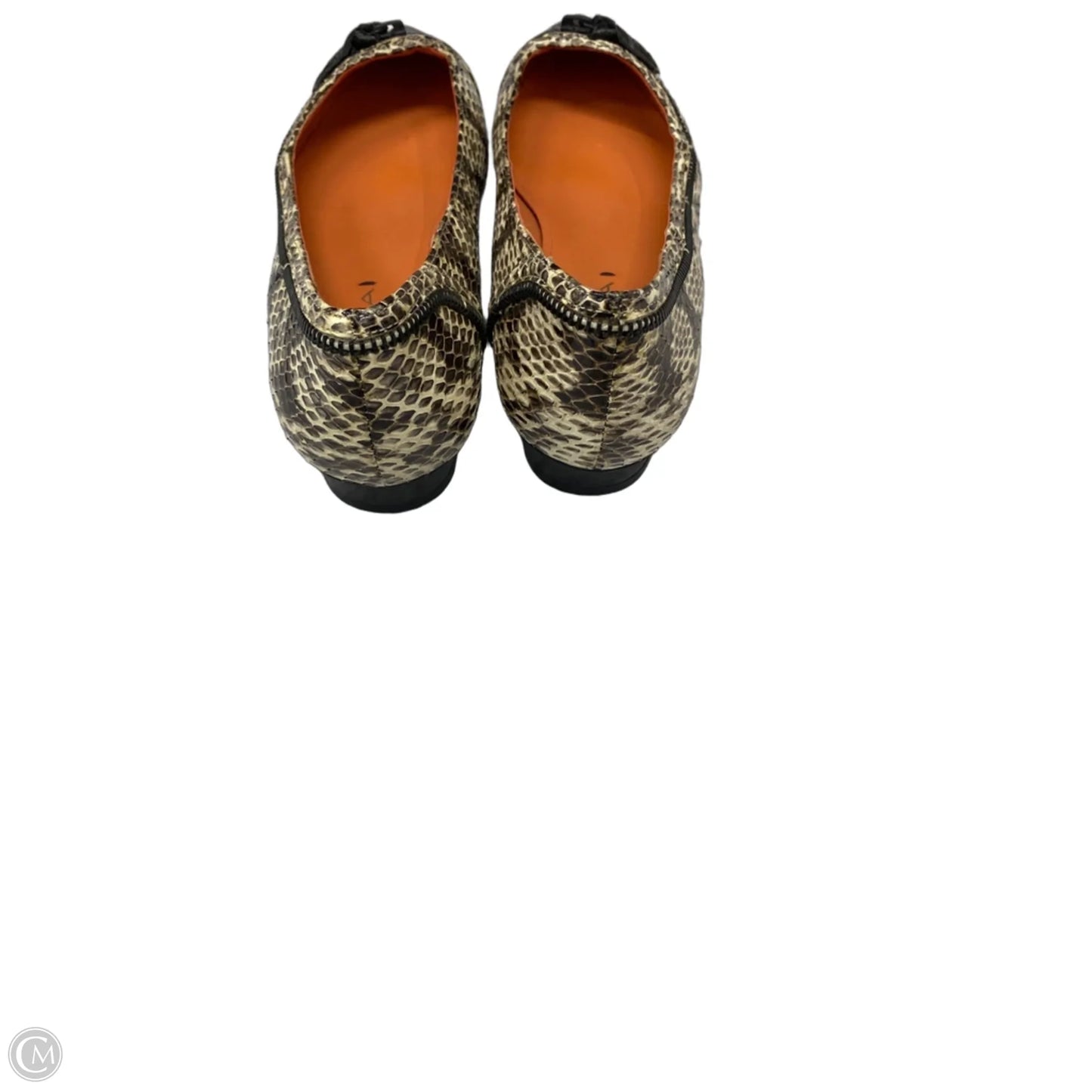 Shoes Flats By Via Spiga In Snakeskin Print, Size: 7