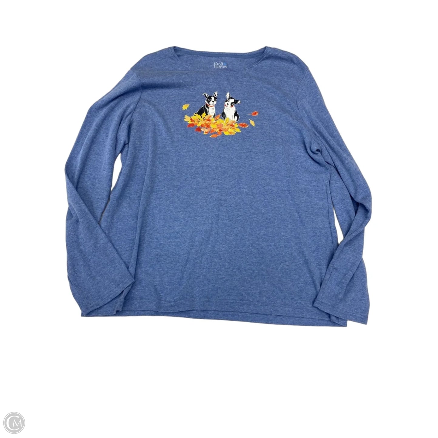 Top Long Sleeve By Croft And Barrow In Blue, Size: Xxl